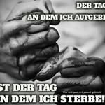 Michael Palla Hegmann - @m._palla - Instagram