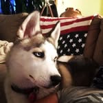 MikeP60 - @michael.pallisco - Instagram