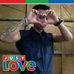 Michael Palomar - Facebook