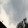 michelepancoast - @michelepancoast - TikTok