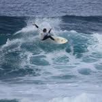 Michael Panton - @michealpantos - Instagram