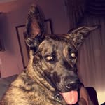 Michael Panzera - @panzeramichael - Instagram