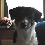Michael Päpke - @papkemichael - Instagram