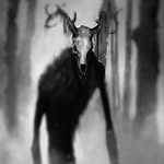 Michael Pappa Pappa - @the_skin_walker_back_the_woods - Instagram