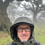 Michael Paramonti - Forest Photography - @michael.paramonti - Instagram