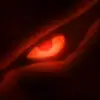 Michael Pardee-Gregory - @michael.pardeegre0 - TikTok