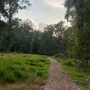 Michael Parente - @michael.parente10 - TikTok