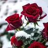 Michael.Park - @michael.park49 - TikTok