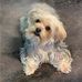 Michael Parvin - Facebook