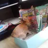 michaelparvin83 - @jakeyparvo - TikTok