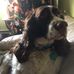 Michael Pasquarelli - Facebook