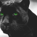 Michael Pasquarelli - @michaelpasquarelli - Instagram