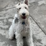 Michael Pass - @mikebpass - Instagram