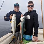 Michael Passalaqua - @mpassalaqua82 - Instagram