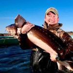 Michael Passmore - @michaelpassmore - Instagram