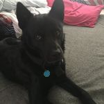 Michael Pastrano - @peanutz1968 - Instagram