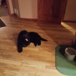 Michael Spaulding - @michaelspaulding27 - Instagram