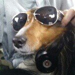 Codey Michael Pavlock - @codeythedog - Instagram