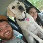 Michael Payer - @m_payer66 - Instagram
