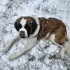 Michael_Pedrick - @michael_pedrick - TikTok