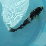 Michael Peetz - @michael.peetz.3 - Instagram