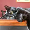 Michael Peffer - @peffer.michael - TikTok