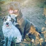 Michael Pelayo S - @michaelpelayos - Instagram
