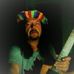 Michael Woodknott Pelchat - Facebook