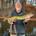 Michael Pelissier - @mikeypels - Instagram