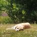 Michel Pelissier Pelissier - Facebook