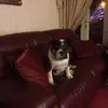 Michael Pell - @michael.pell1 - TikTok