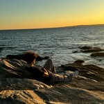 Michael Pella - @michaelpella_ - Instagram