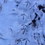 Michael Pendleton - @pendleton3644 - Instagram