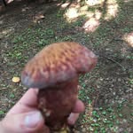 Mike Penello - @michaeljpenello - Instagram