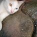 Michael Peñero - Facebook