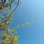 M. P. - @michael_penter - Instagram