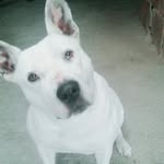 Michael Peñuela - @penuela.michael - Instagram