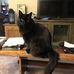 Michael Penwell - Facebook
