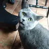 michaelpeplowski6 - @michaelpeplowski6 - TikTok