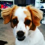 Michael Perera - @85sjccap10 - Instagram