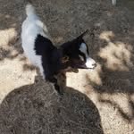 Michael Perletti - @michaelperletti - Instagram