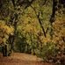 Michael Peron - Facebook