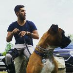 Michael Perrella - @michaelperrella - Instagram