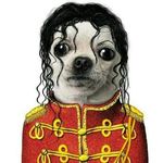michael perro - @michael_perro - Instagram