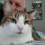 Michael Perrone - @perrone.michael - Instagram