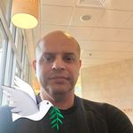 Michael Perrone - @mchl_perrone - Instagram