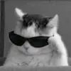 Michael Pestana - @knightpestana78 - TikTok
