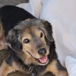 michelle petonic - @shaggy.angelboy - Instagram