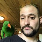 Michael Petrarca - @petrarcamichael - Instagram