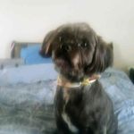 Michael Pettaway - @michael.pettaway.16 - Instagram